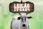Leilão de Gado - Recanto São João Paulo II