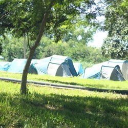 29 ACAMPAMENTO FAC